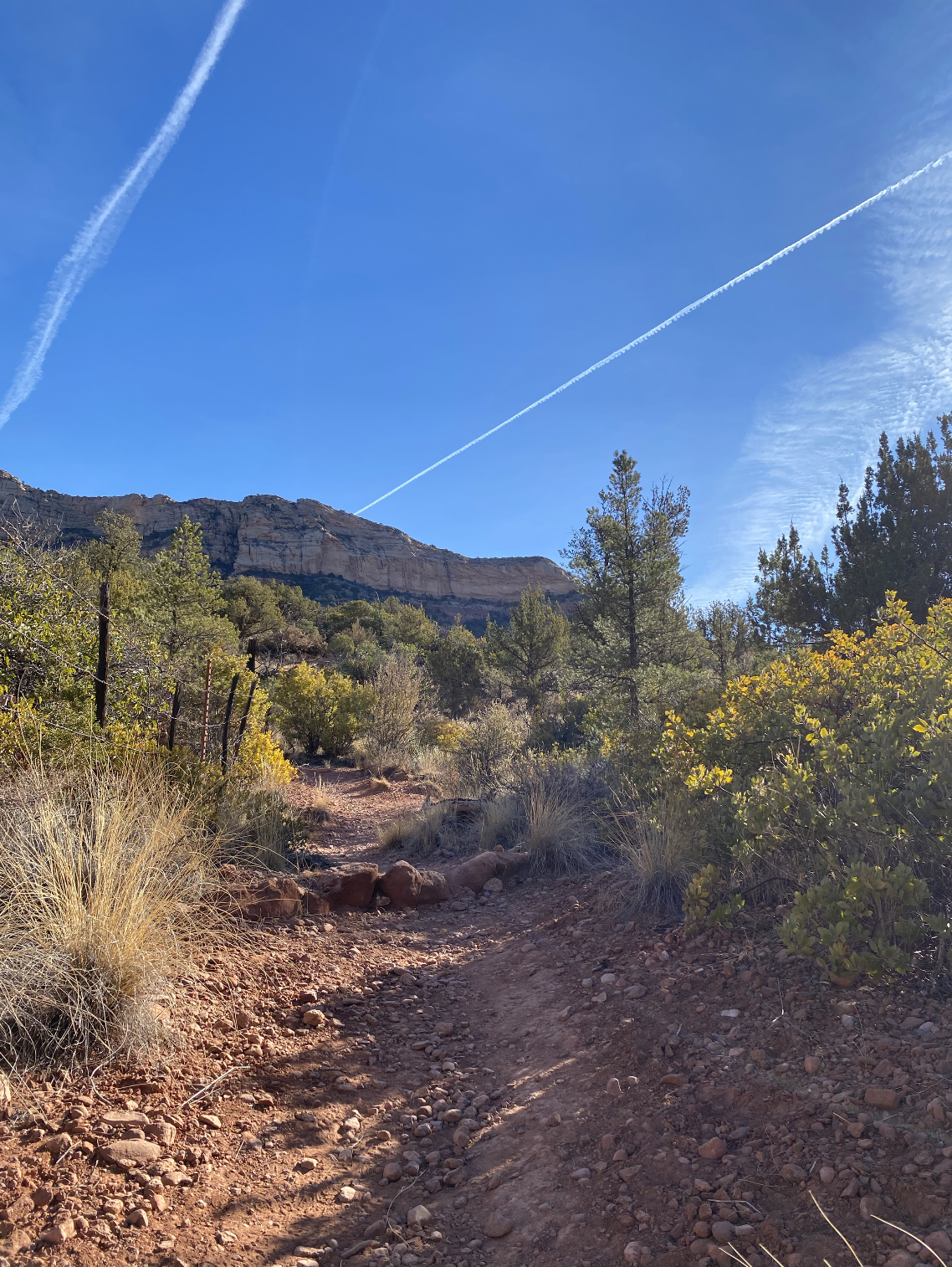 Red Rocks